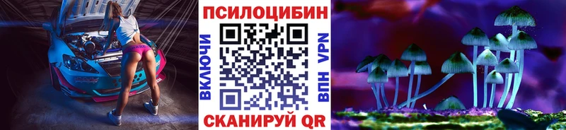 где можно купить наркотик  Черноголовка  Псилоцибиновые грибы мухоморы 